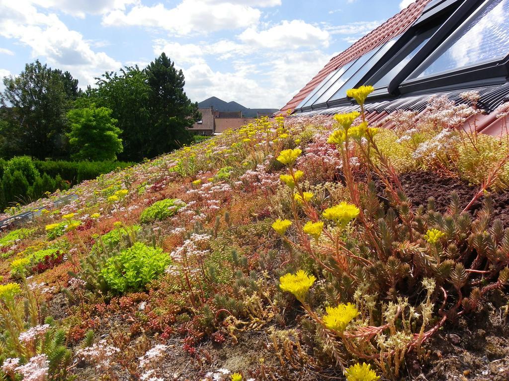 Fleur De Ciel Villa Loos-en-Gohelle Exterior photo