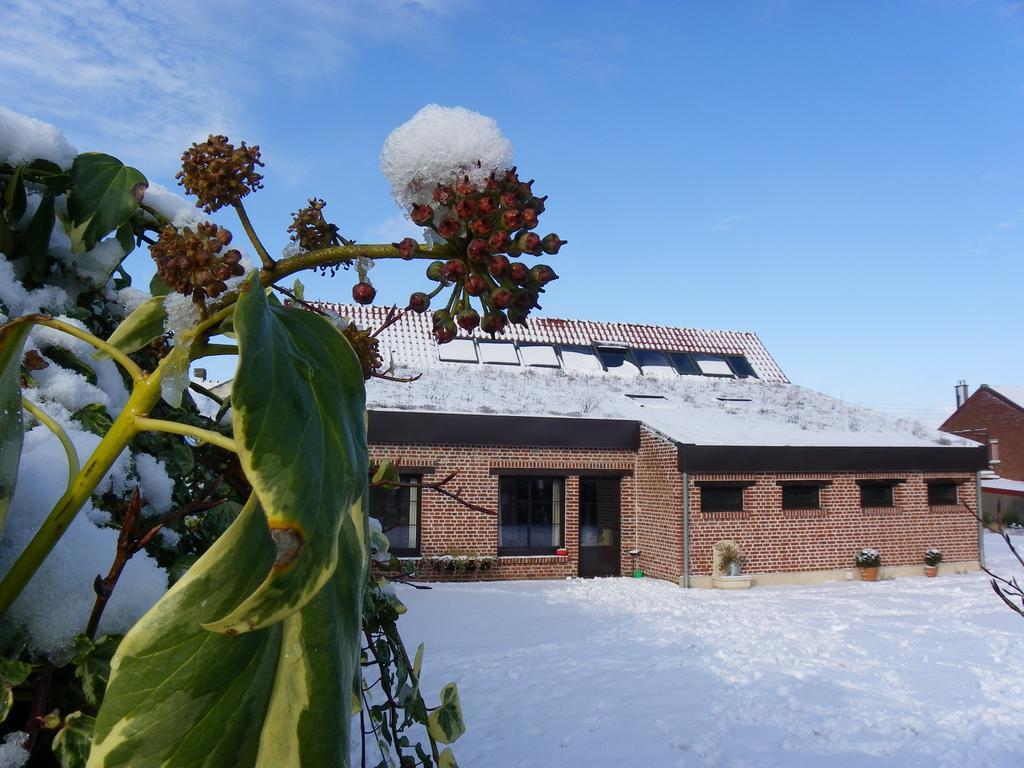 Fleur De Ciel Villa Loos-en-Gohelle Exterior photo